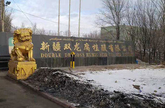 新疆雙龍集團—燃油燃氣蒸汽鍋爐項目